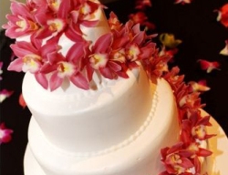 Diving Wedding or Honeymoon - think Mauritius Diving Wedding or Honeymoon - think Mauritius